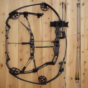 image of a compound bow